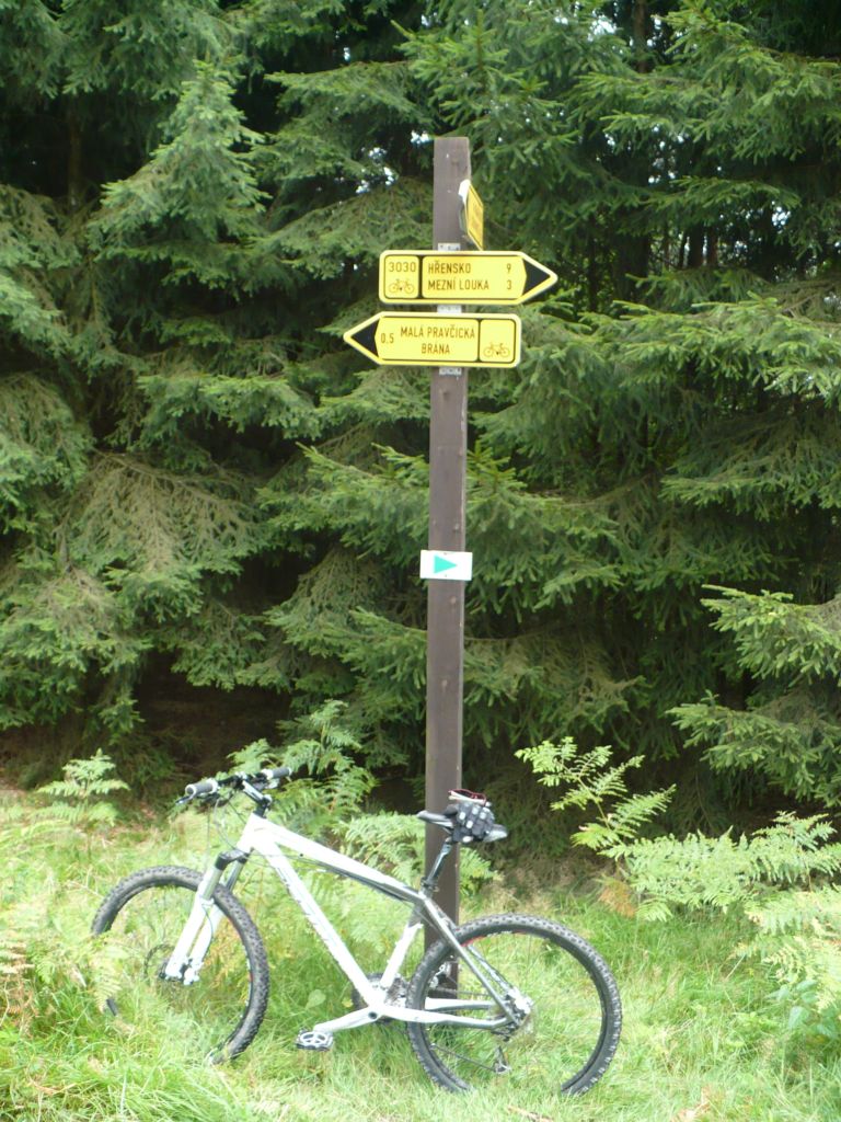 P1020184.JPG