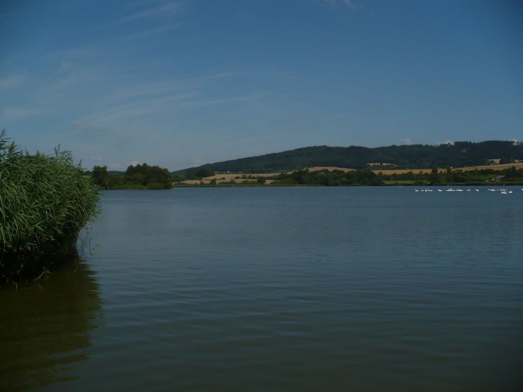 P1020064.JPG