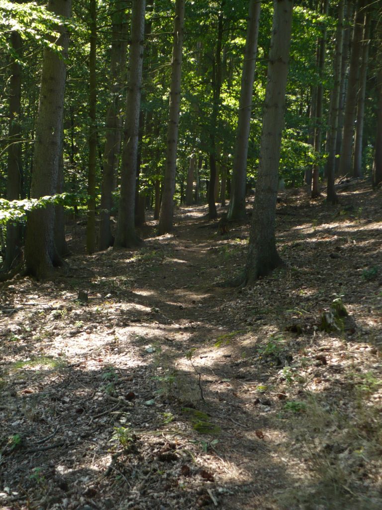 P1020124.JPG
