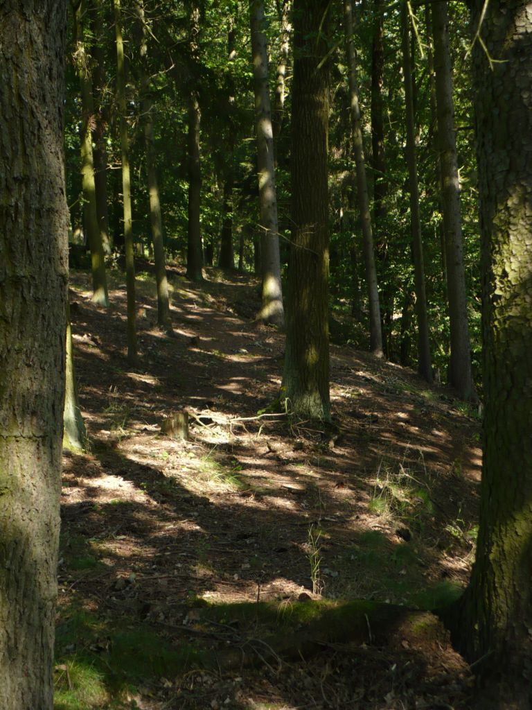 P1020125.JPG