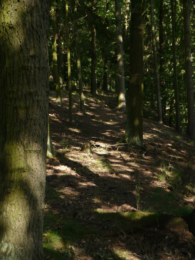 P1020127.JPG