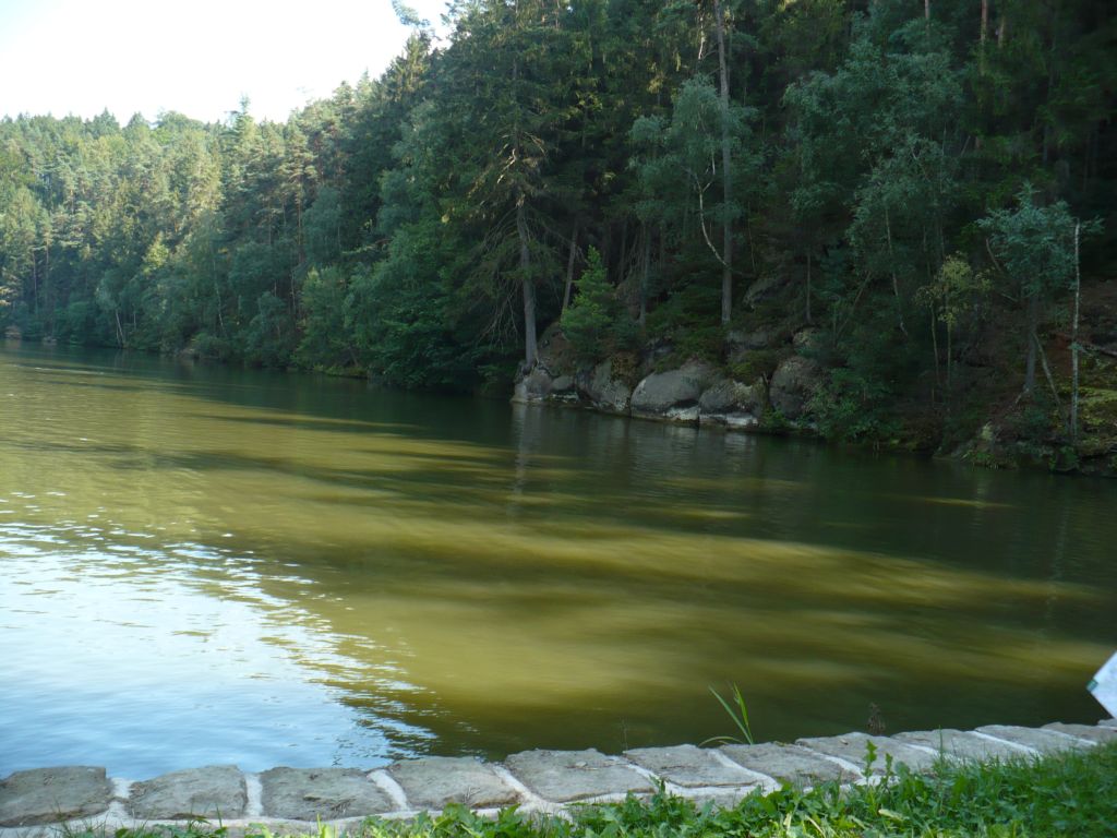 P1020130.JPG