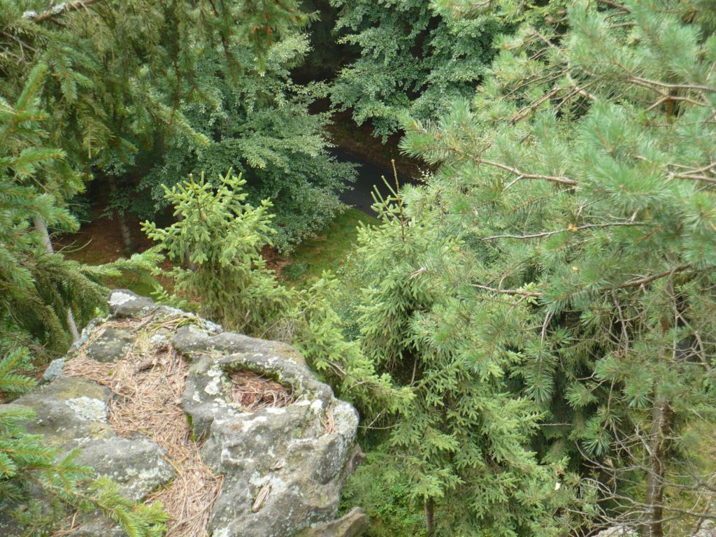 P1020163.JPG